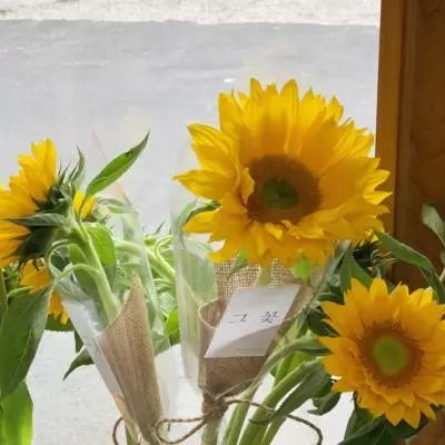 欧意交易所app官方下载