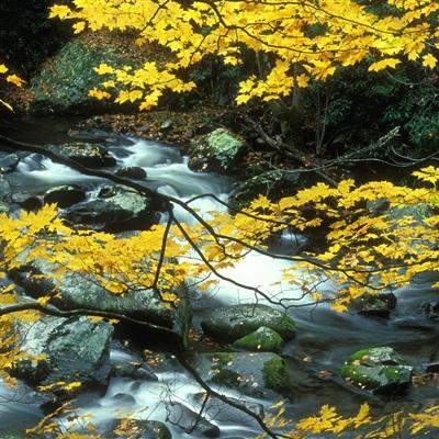 乐发彩票APP下载app下载